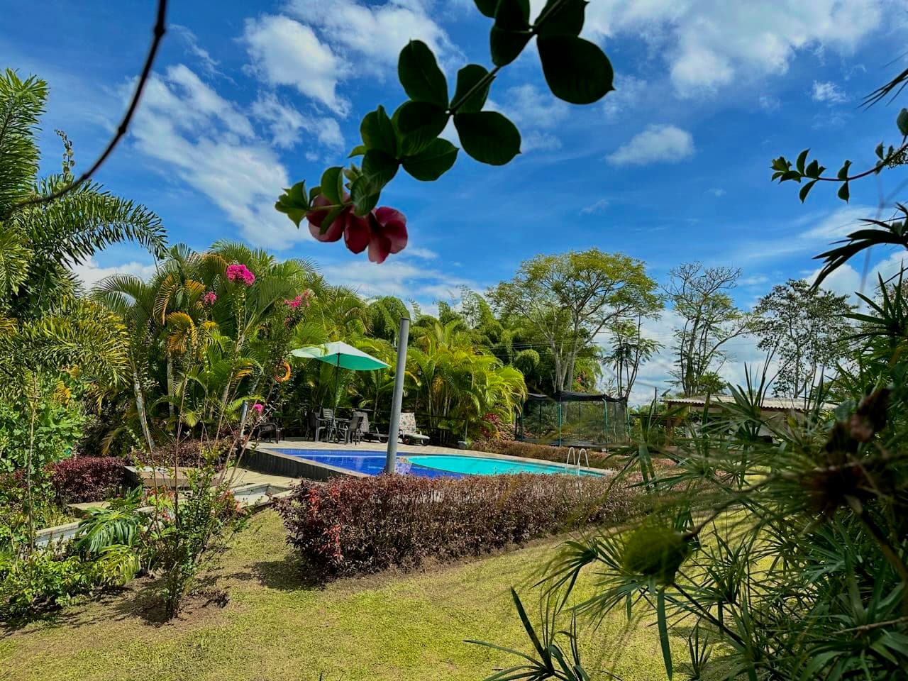 Piscina y zona húmeda 2