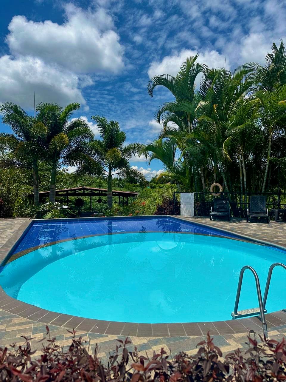 Piscina y zona húmeda 4