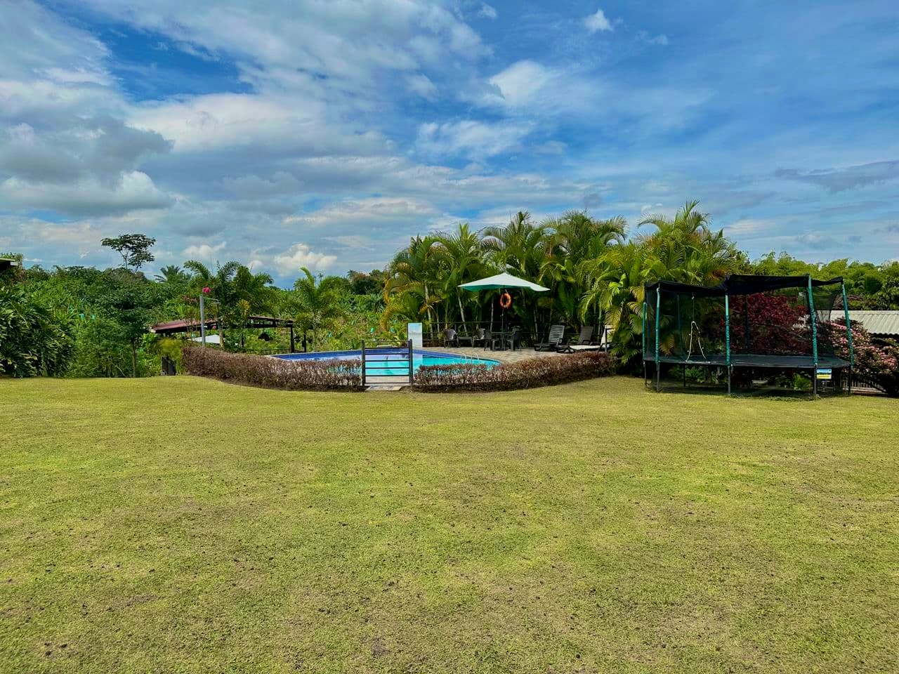 Piscina y zona húmeda 5