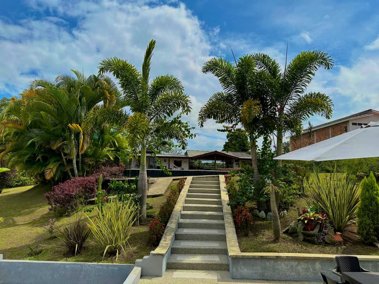 Zona social 19 Rancho Pardo