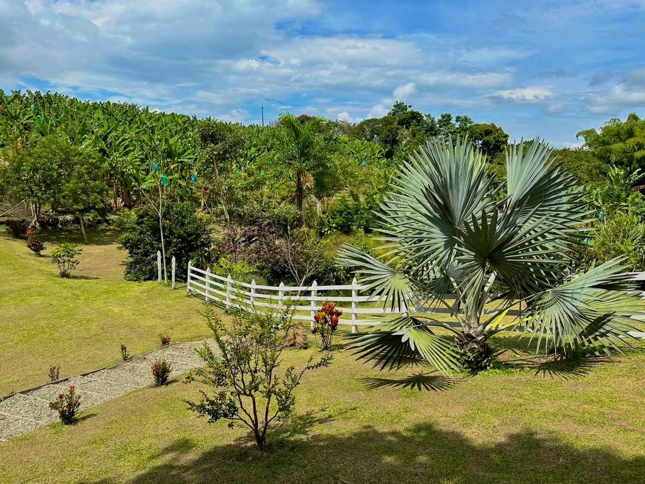 Zona social 4 Rancho Pardo